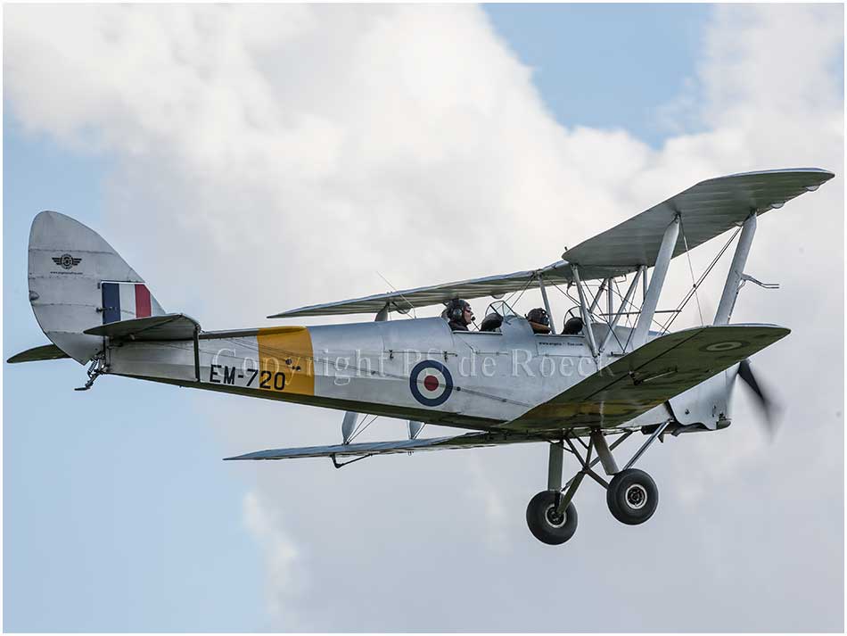 Tiger Moth